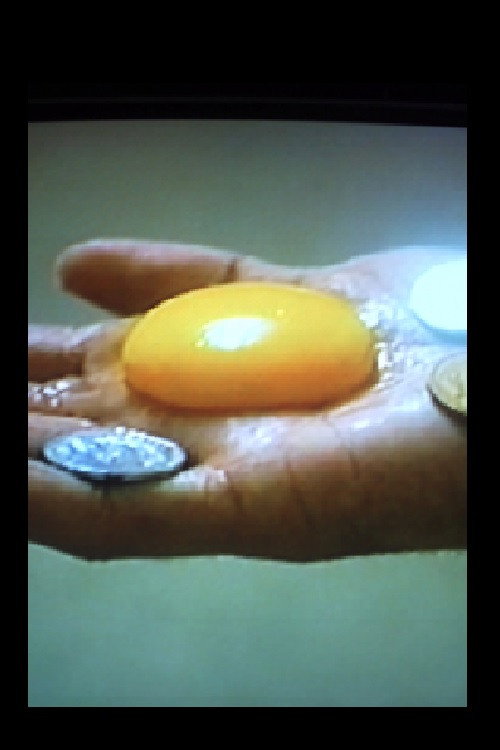 Jardim das Vulvas Poster