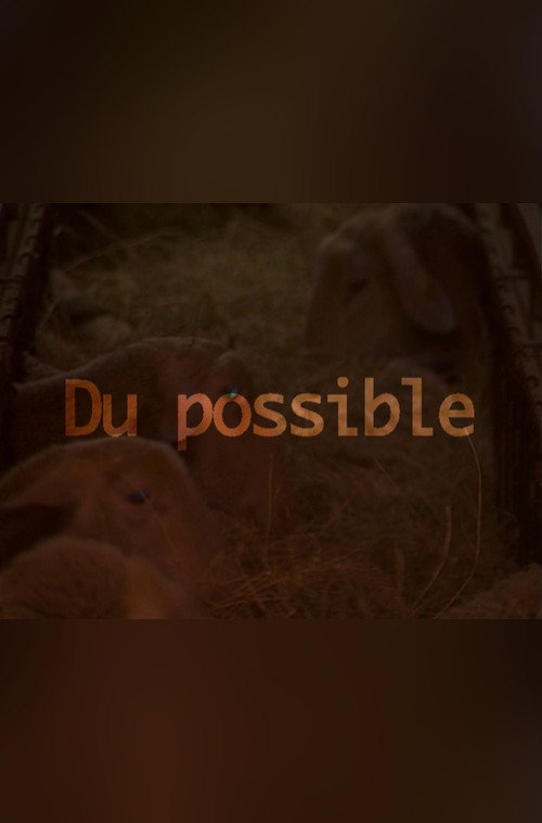 Du possible Poster