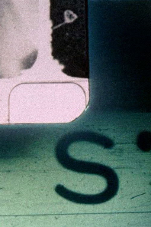 S1 Poster