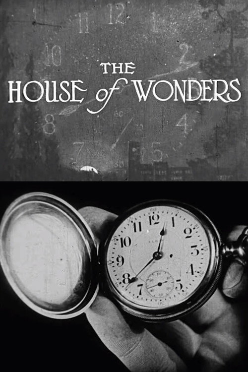 The House of Wonders Poster