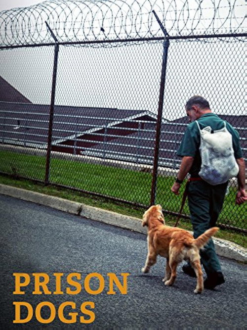 Prison Dogs Poster