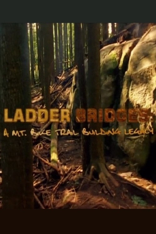 Ladder Bridges Poster