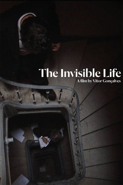 The Invisible Life Poster
