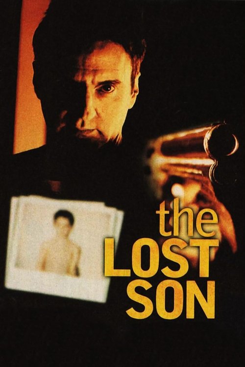 The Lost Son Poster