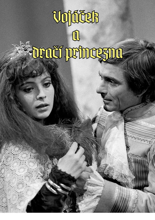 Vojáček a dračí princezna Poster