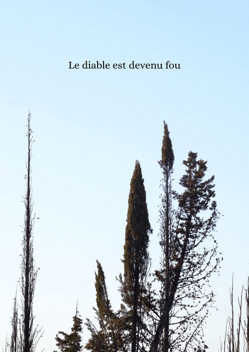 Le diable est devenu fou Poster