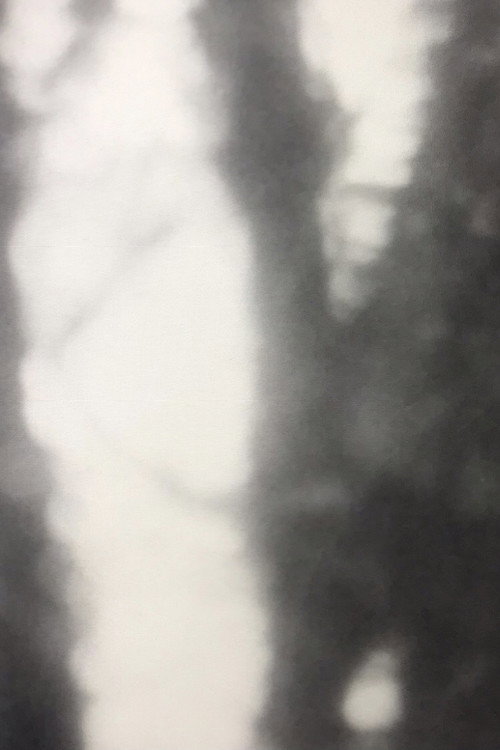 In/Contro/Luce Poster