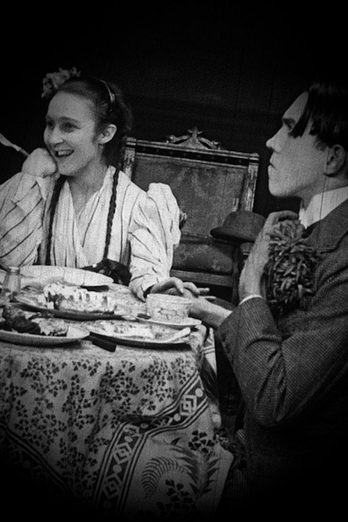 Jane's Bashful Hero Poster