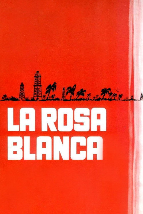 Rosa blanca Poster