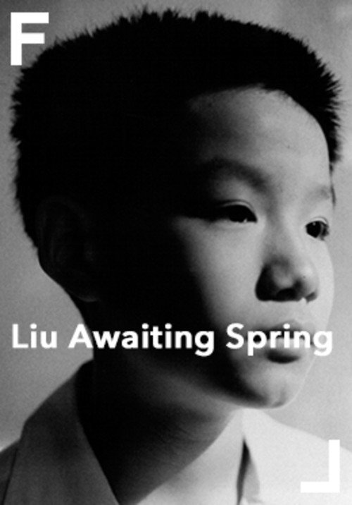 Liu Awaiting Spring Poster