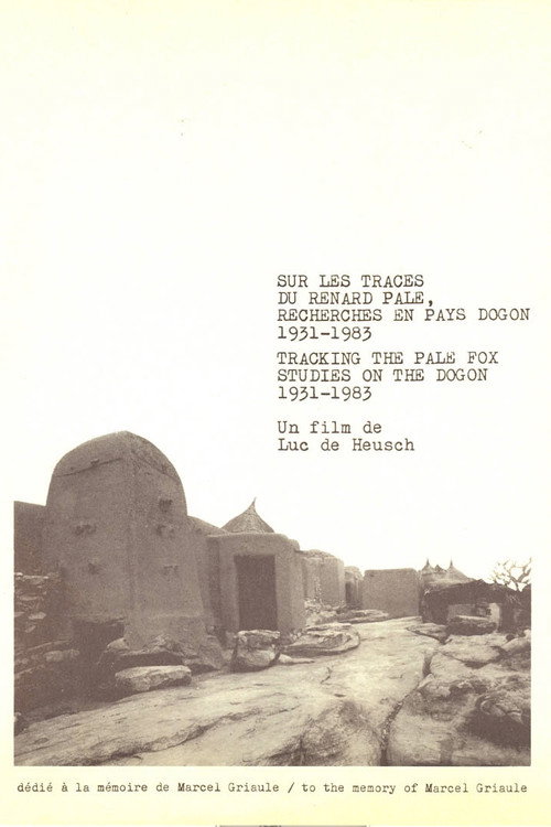 In the Footsteps of the Pale Fox Poster