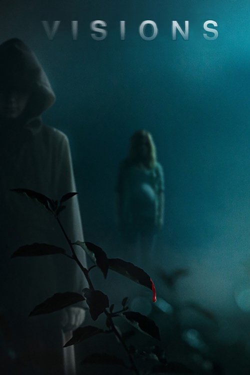 Visions Poster
