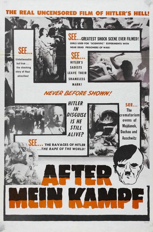 After Mein Kampf? Poster