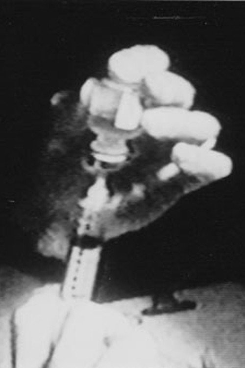 D.H.P.G. Mon Amour Poster