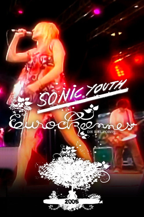 Sonic Youth: Live at Eurockéennes Poster
