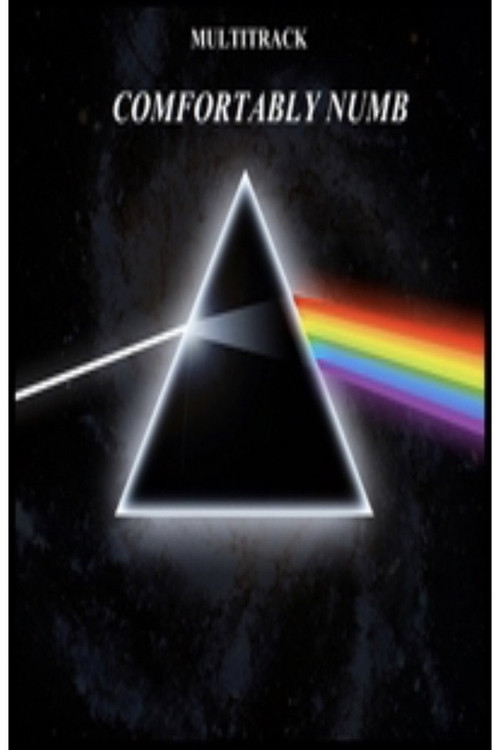 Pink Floyd - Comfortably Numb Poster