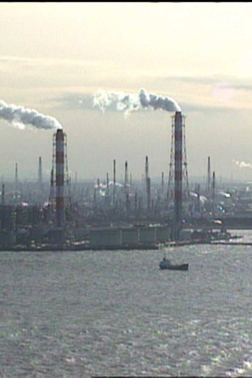 Where Has All the Pollution Gone? Poster