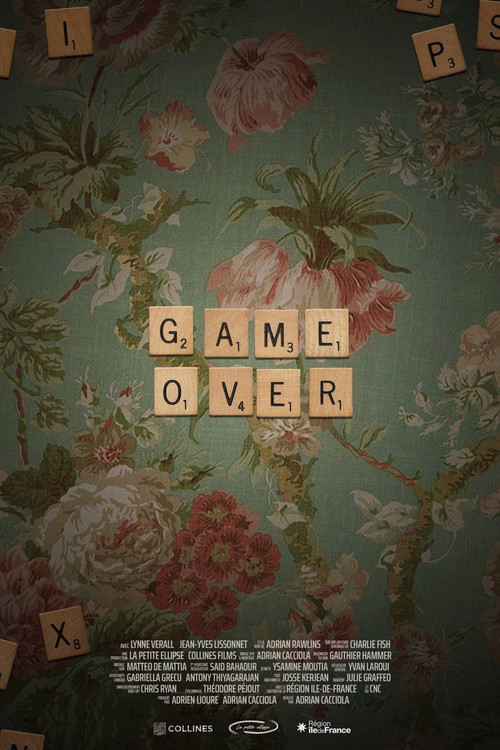 Game Over Poster