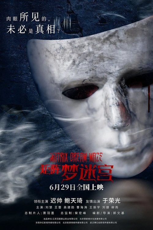 Matrix Dream Maze Poster