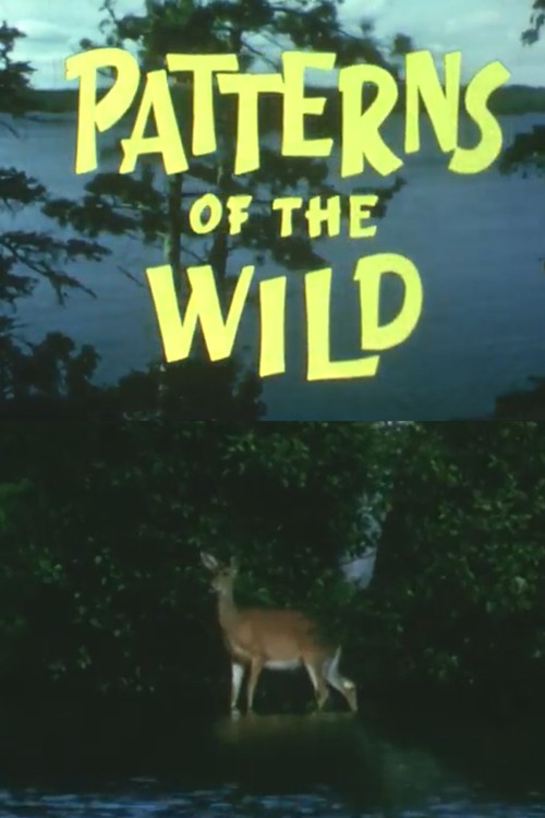 Patterns Of The Wild Poster