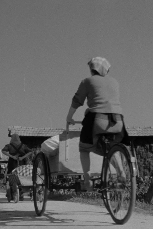 Laundresses from Bizovik Poster