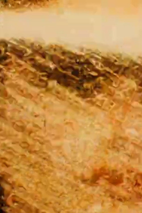 Pilgrim's Progress Poster