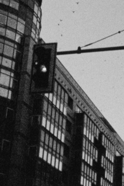 Vögel am Checkpoint Charlie Poster