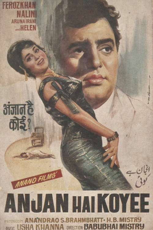 Anjan Hai Koyee Poster