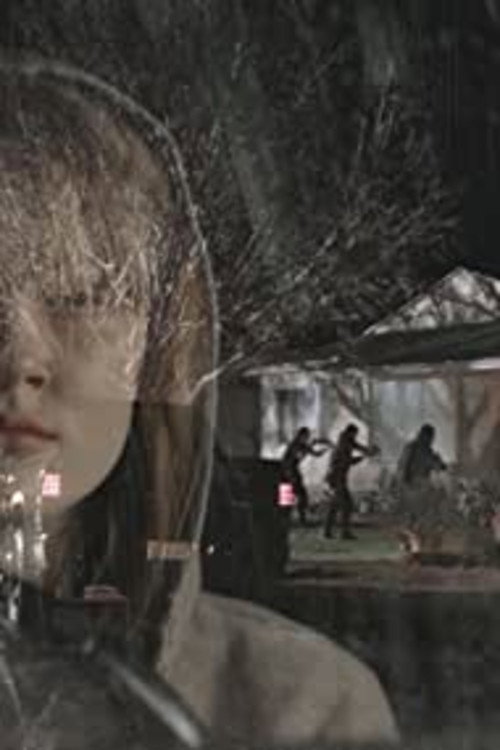 The Lilac Thief Poster