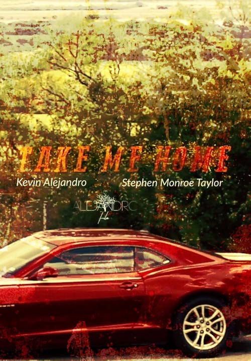 Take Me Home Poster