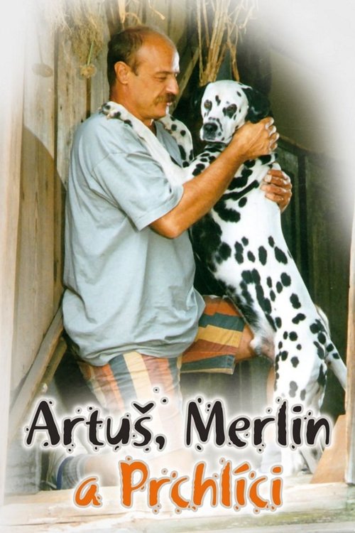 Artus, Merlin a Prchlici Poster