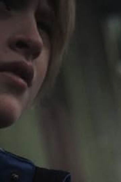 The Westerner Poster