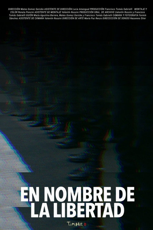 In the Name of Liberty Poster