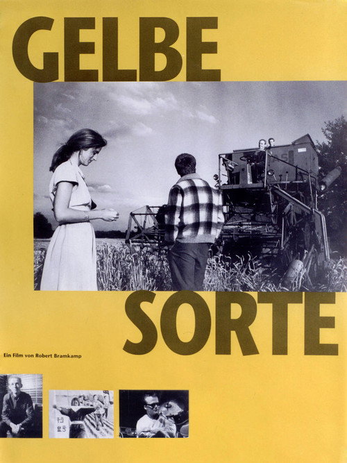 Gelbe Sorte Poster