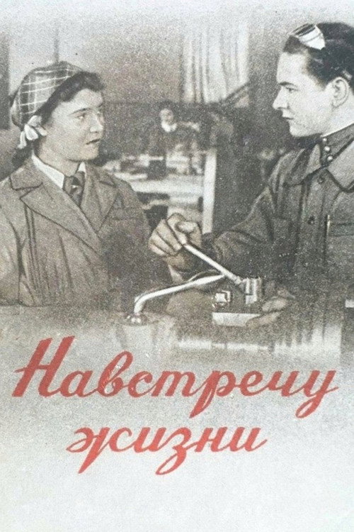 The Encounter of a Lifetime Poster