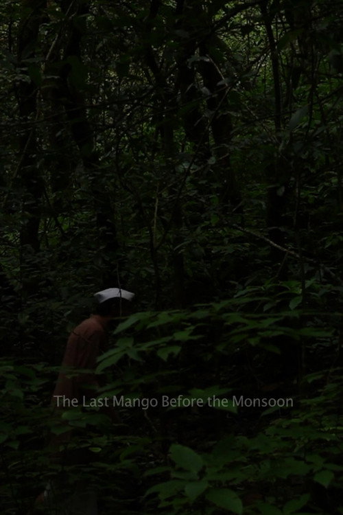 The Last Mango Before the Monsoon Poster
