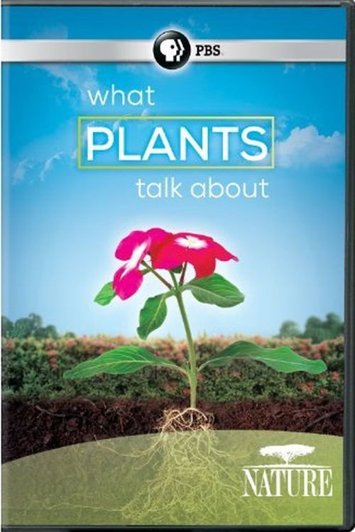 What Plants Talk About Poster