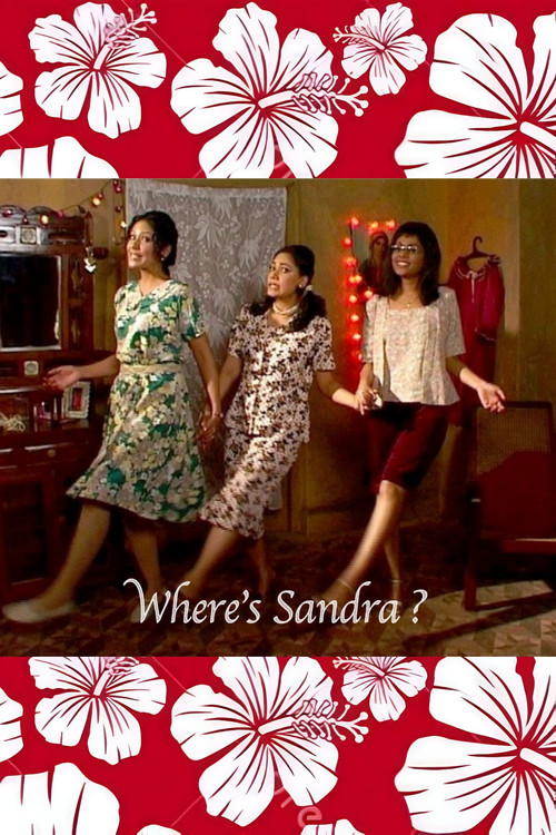 Where's Sandra? Poster