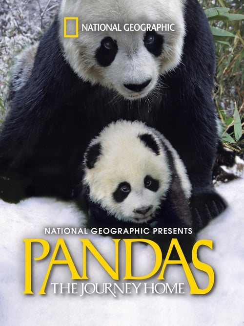 Pandas: The Journey Home Poster