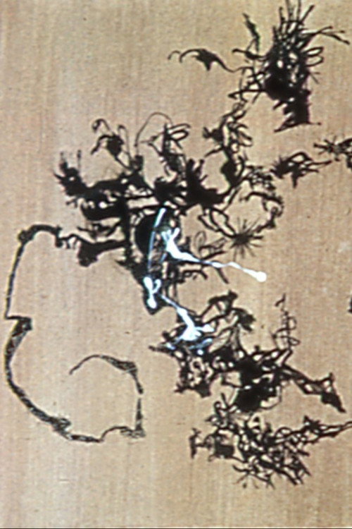 Transformation Poster