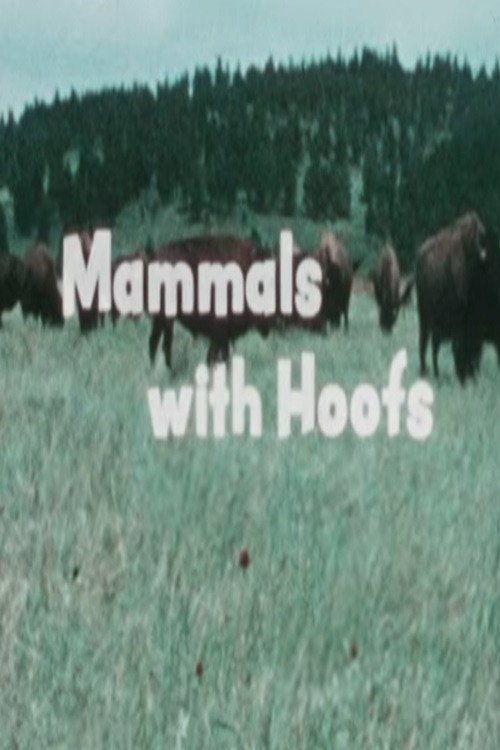 Mammals With Hoofs Poster