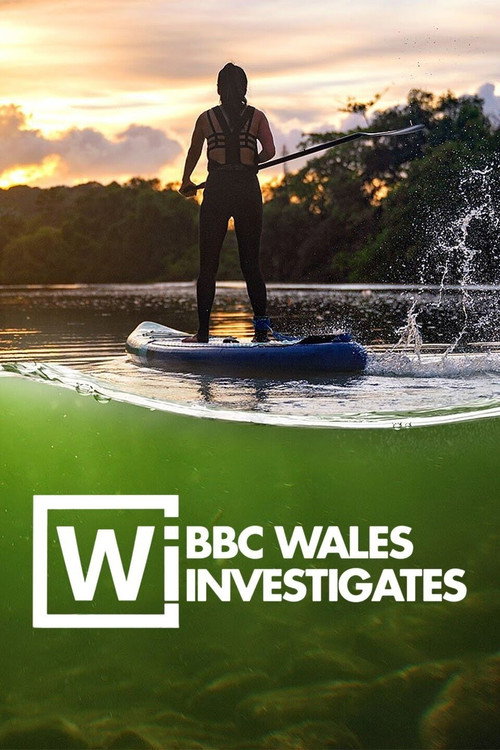 Michael Sheen: Lifting the Lid on the Care System Poster