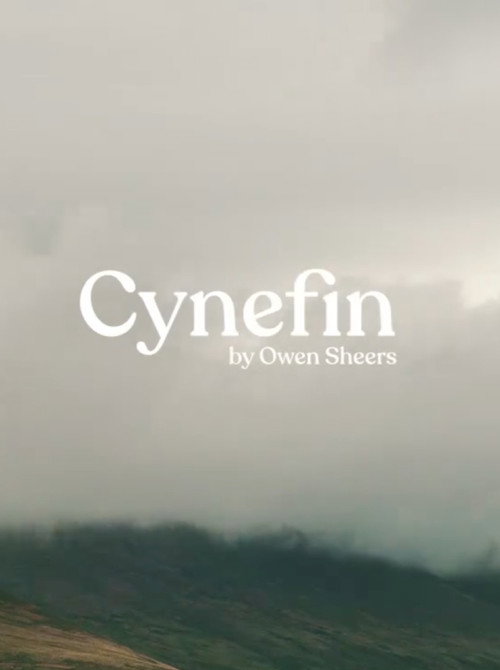 Cynefin Poster