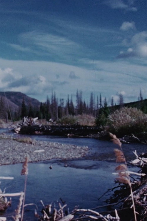 Concerto for Water, Sun and Wilderness Poster