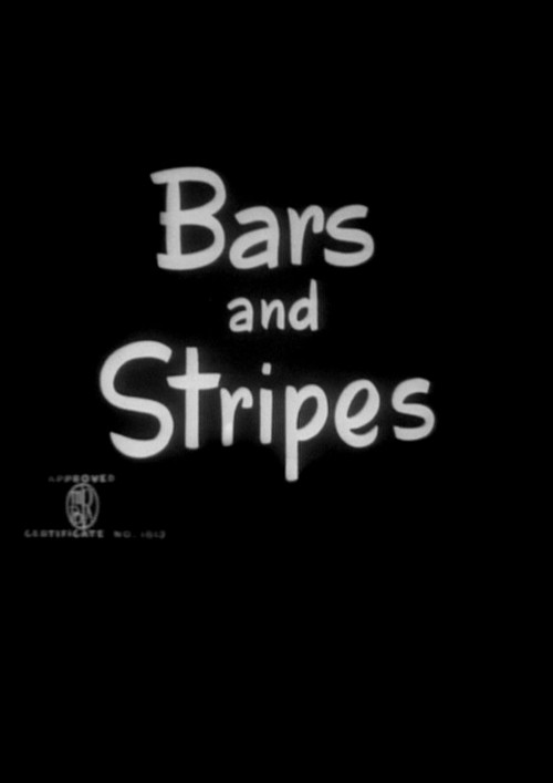 Bars and Stripes Poster