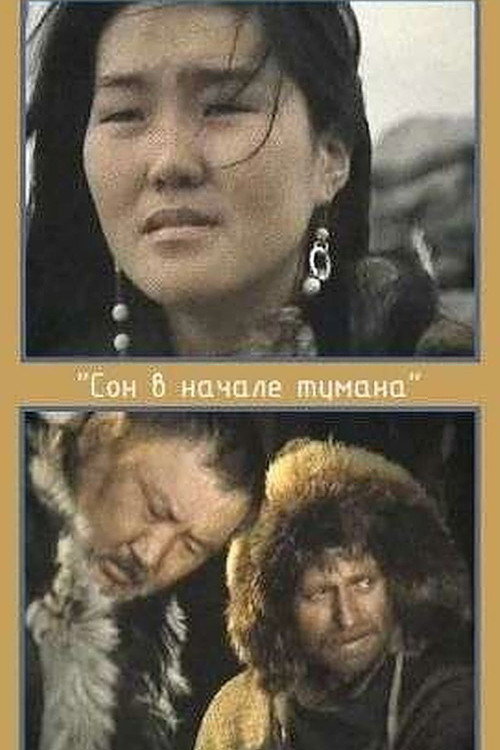 A Dream in Polar Fog Poster