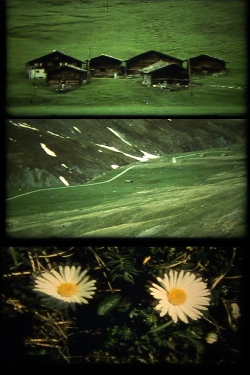 Spaziergänge Poster