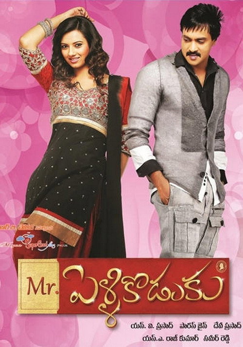 Mr.PelliKoduku Poster