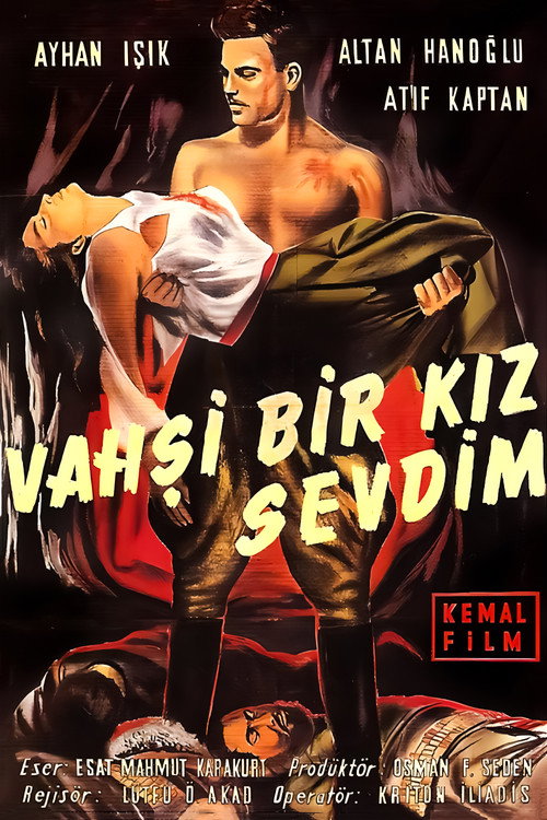Vahşi Bir Kız Sevdim Poster