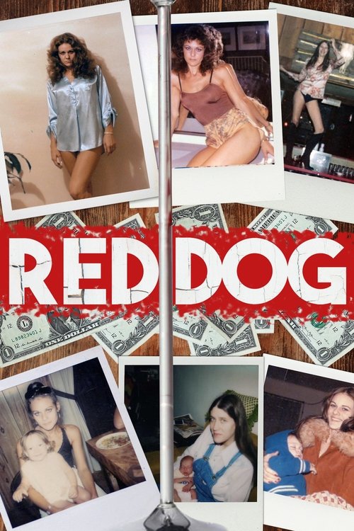 Red Dog Poster